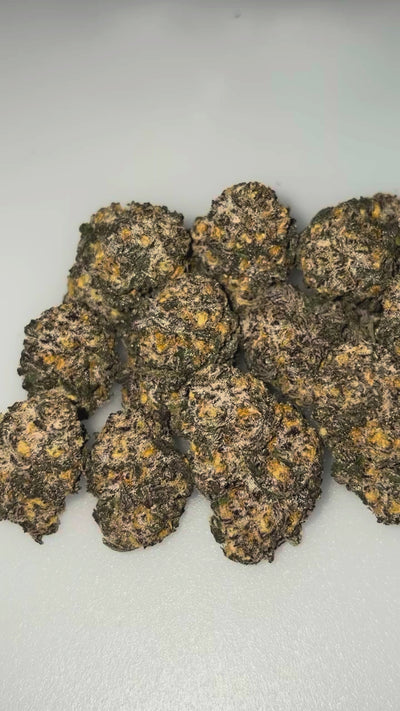 🧪 DR SLAYER  🧪